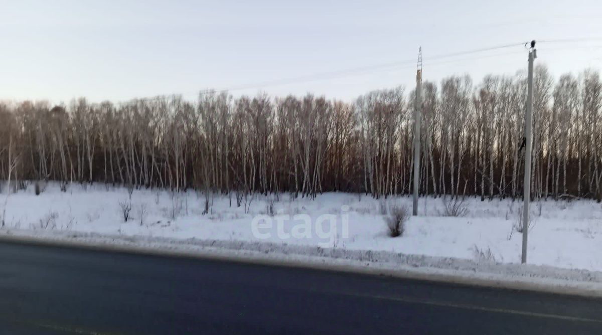 земля г Бийск фото 1