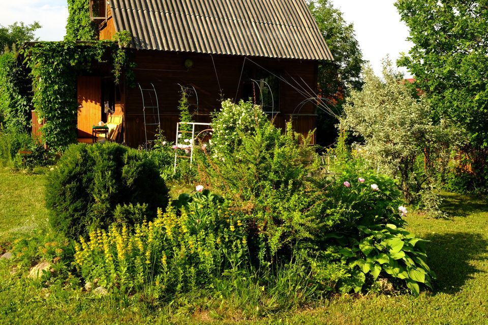 дом городской округ Можайский садоводческое некоммерческое товарищество Ельня фото 2