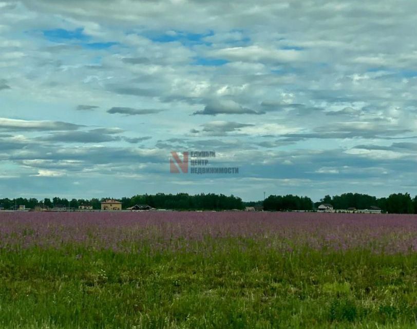 земля р-н Тюменский село Каменка фото 5