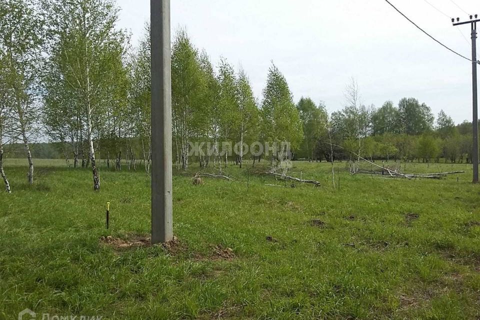 земля р-н Новосибирский коттеджный посёлок Июль, улица Неба фото 1