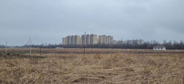 муниципальное образование Краснодар, коттеджный посёлок Комарово фото