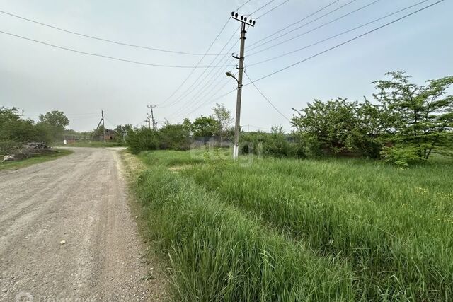 земля хутор Красненский фото