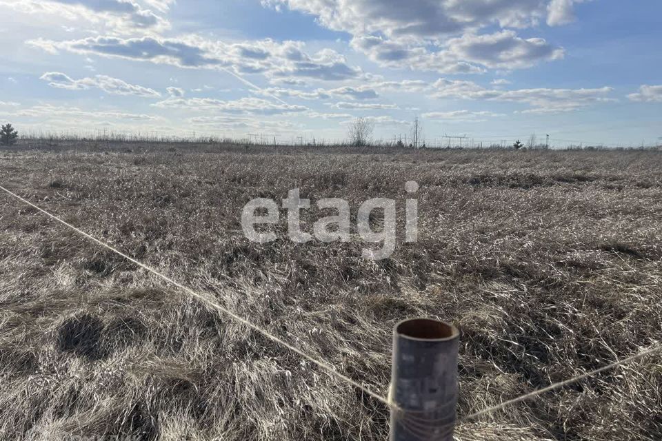 земля р-н Емельяновский садоводческое товарищество Солонцовский Нанжуль фото 1