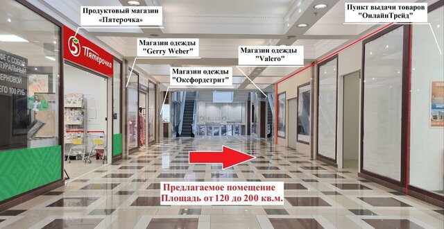 метро Комендантский Проспект пр-кт Испытателей 37 фото