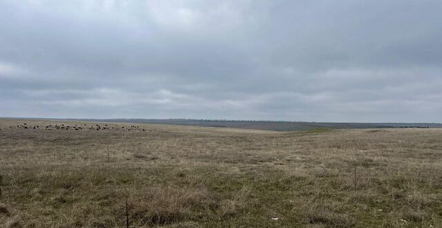 земля с Русаковка Русаковское сельское поселение, Белогорск фото