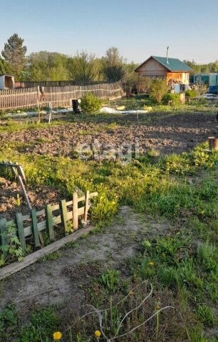 земля Богашёвское сельское поселение, 2-й массив, садовое товарищество Ветеран фото