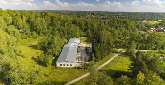 Барышевский сельсовет, 12, Новосибирск фото