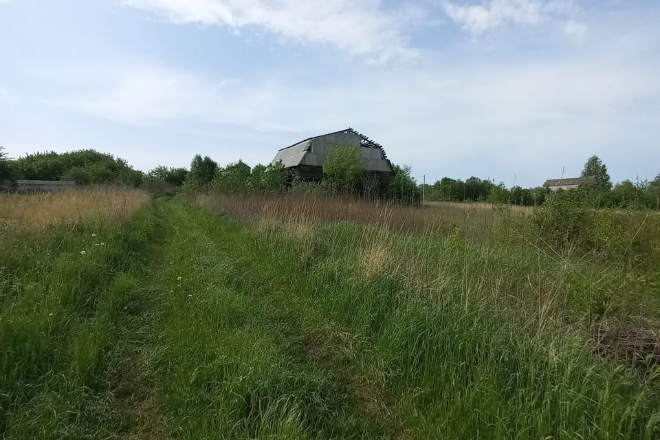 земля р-н Рузаевский село Левжа фото 5