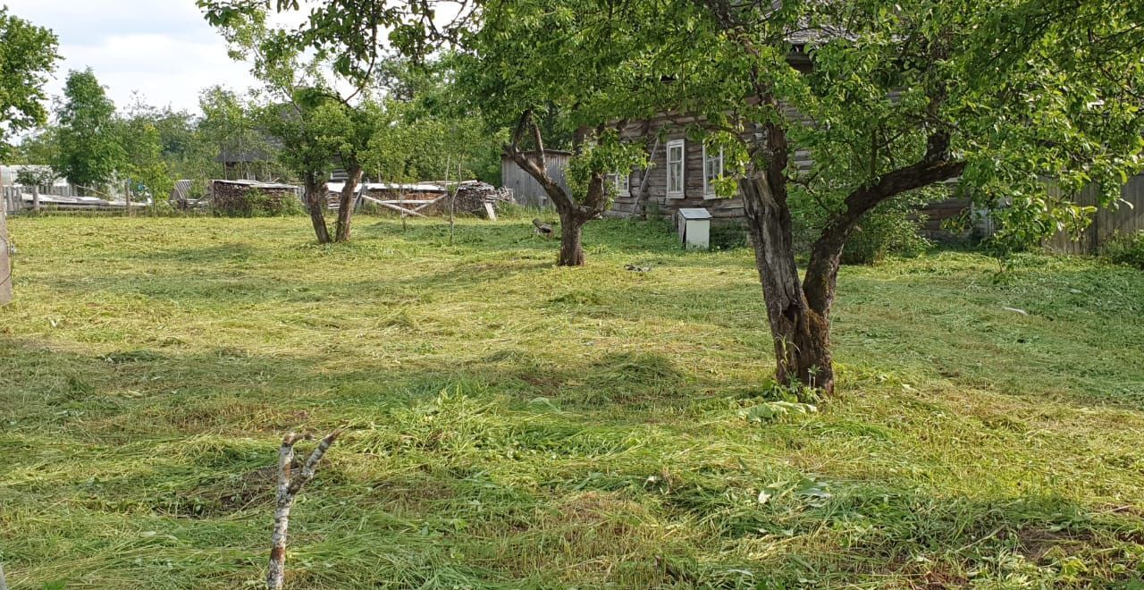 дом р-н Плюсский с Ляды ул Большова Ленинградская область, Волошово фото 7