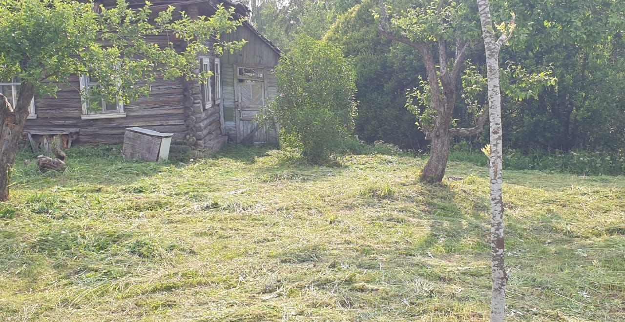 дом р-н Плюсский с Ляды ул Большова Ленинградская область, Волошово фото 9