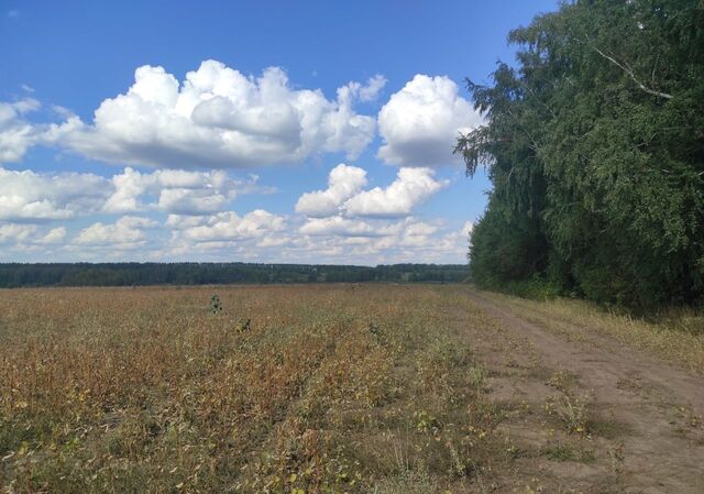 земля с Стафурлово Екимовское сельское поселение, Рязань фото