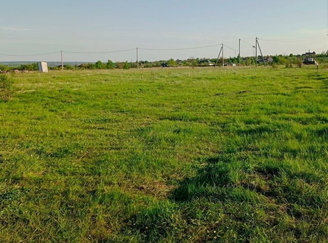 земля Новоживотинновское сельское поселение фото