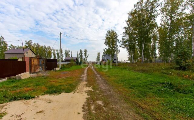 земля с Марусино Криводановский сельсовет, Новосибирск фото