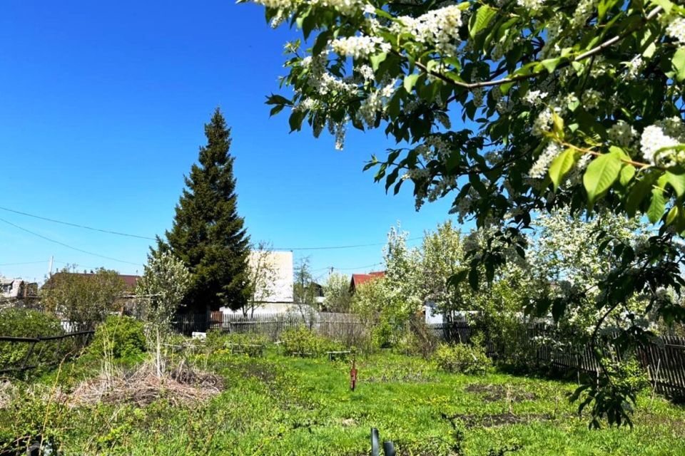земля р-н Новосибирский садовое некоммерческое товарищество Темп, Клюквенная аллея фото 1