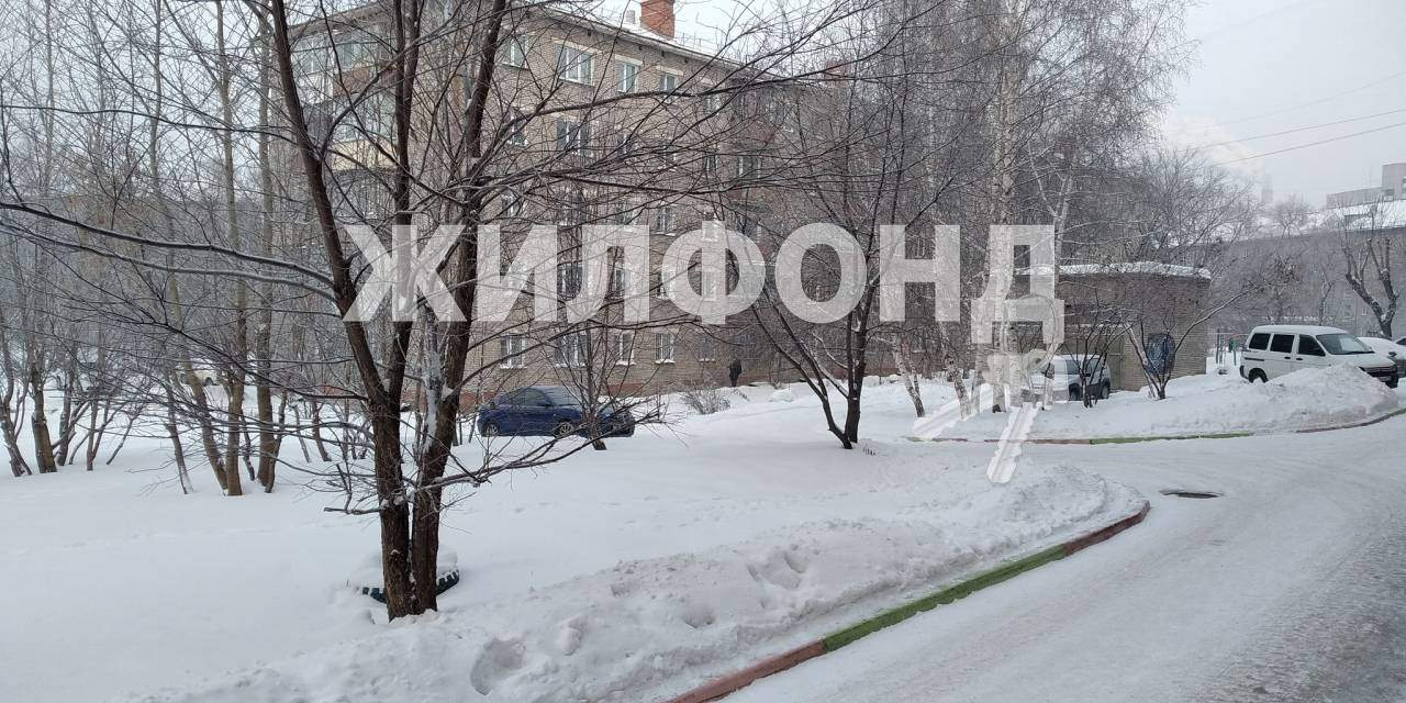 квартира г Новосибирск ул Котовского 22 Площадь Маркса фото 4