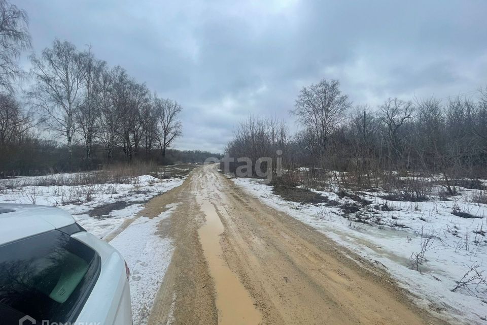 дом р-н Краснинский д Николаевка 53 фото 3