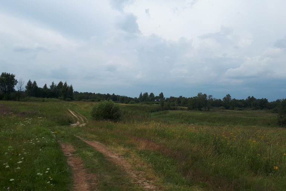 земля городской округ Переславль-Залесский, село Филипповское фото 4