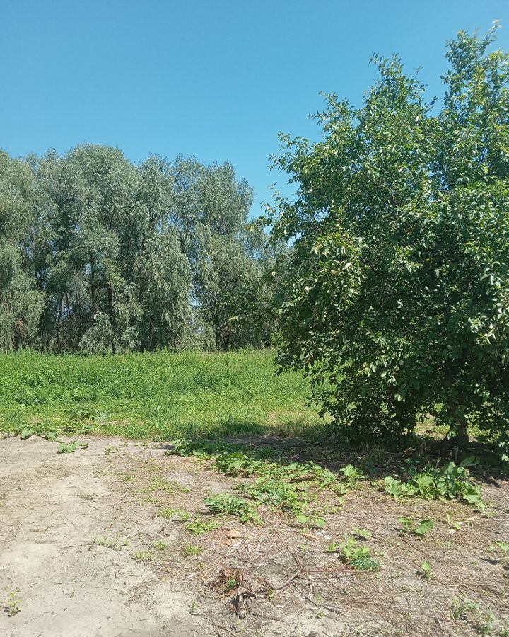 земля р-н Павловский с Черемно-Подгорное Павловск фото 4