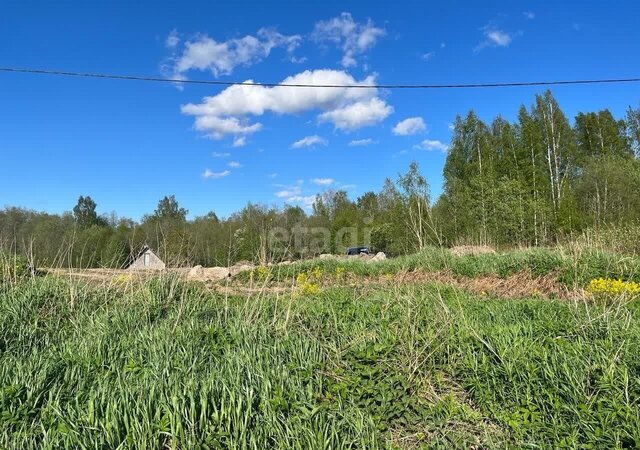 Лесколовское сельское поселение, ДНП Зелёная поляна фото
