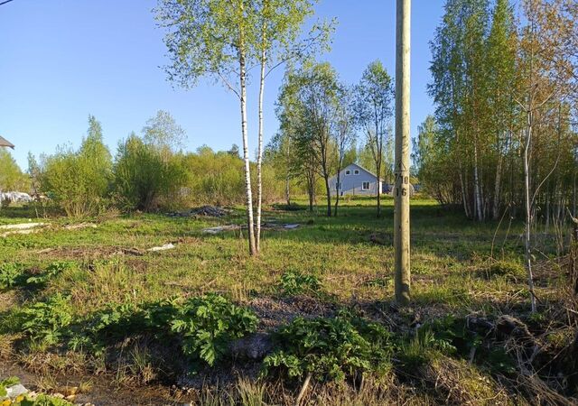 Новосветское сельское поселение, 52-й массив, Гатчина фото
