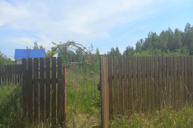Сосновоборский городской округ, садоводческое некоммерческое товарищество Клён фото