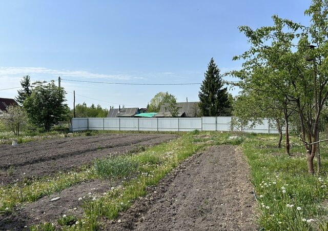 Панковское городское поселение, садоводческий массив № 3, Рябинушка, садоводческое товарищество фото