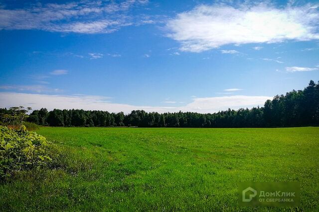 земля Красносельское сельское поселение фото