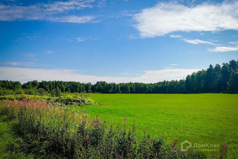 земля р-н Выборгский Красносельское сельское поселение фото 7