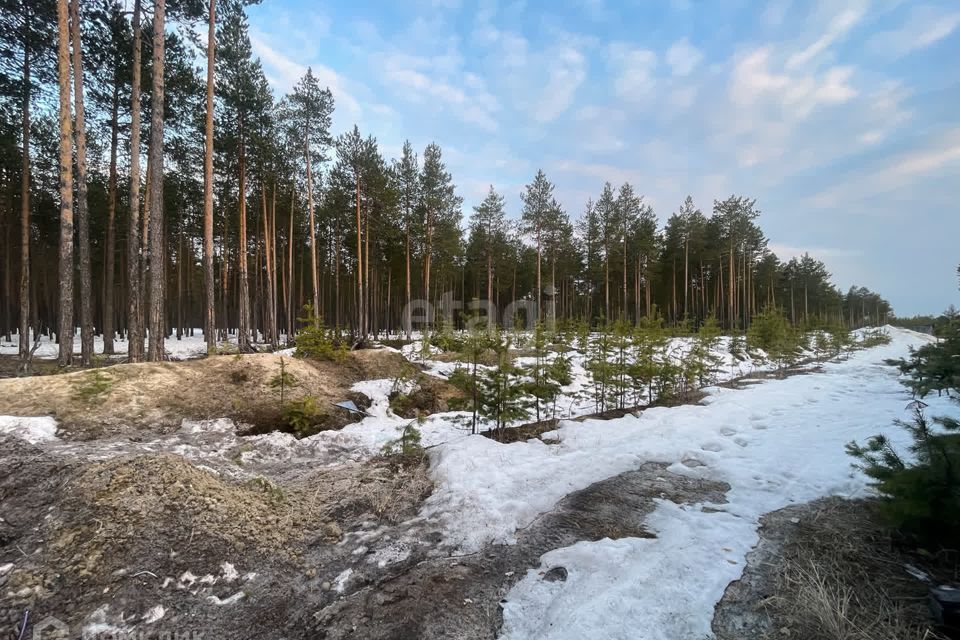 земля р-н Сургутский ДНТ Малинка, 5-я улица фото 7