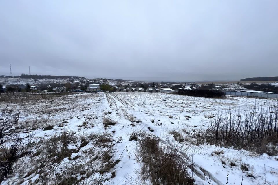 земля р-н Рамонский с Русская Гвоздевка ул Беговая фото 1