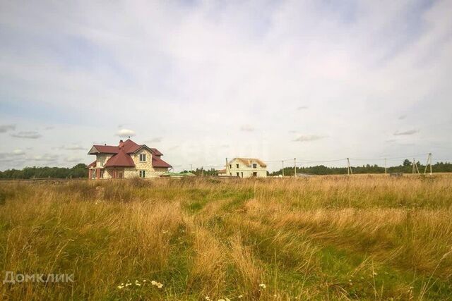 земля деревня Рубилово фото