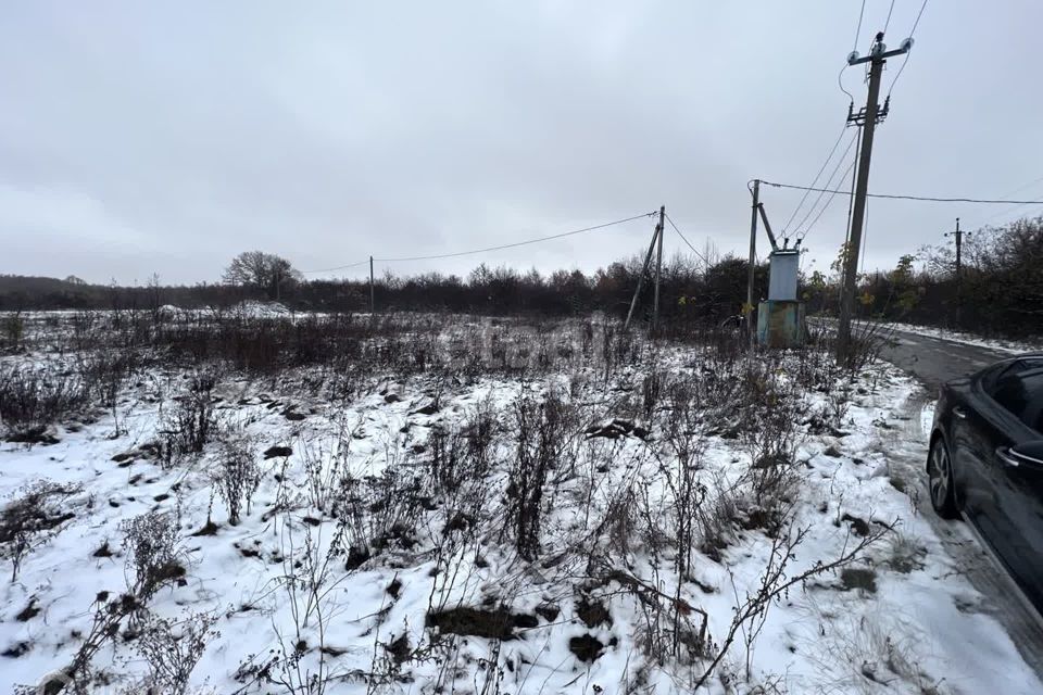 земля р-н Рамонский с Русская Гвоздевка ул Ленина фото 3