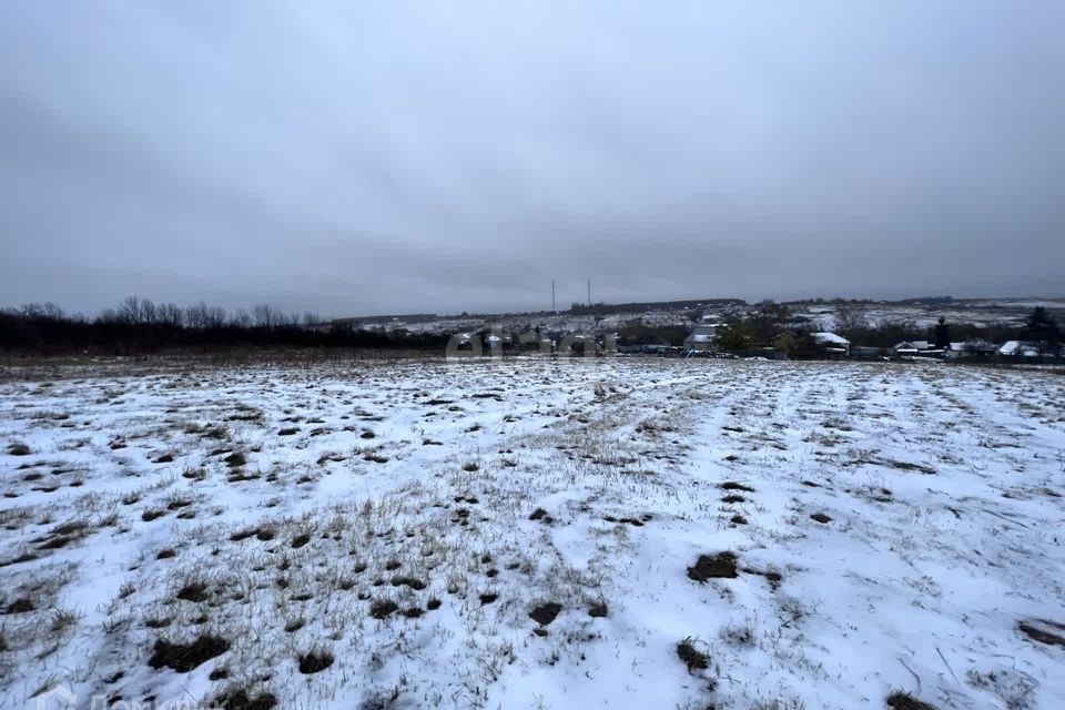 земля р-н Рамонский с Русская Гвоздевка ул Беговая фото 4