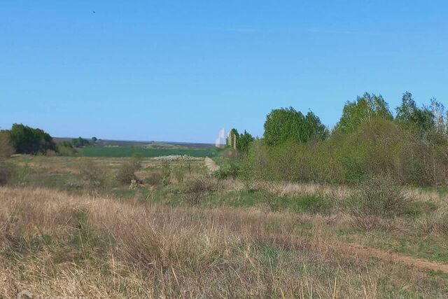 земля село Чернышевка фото