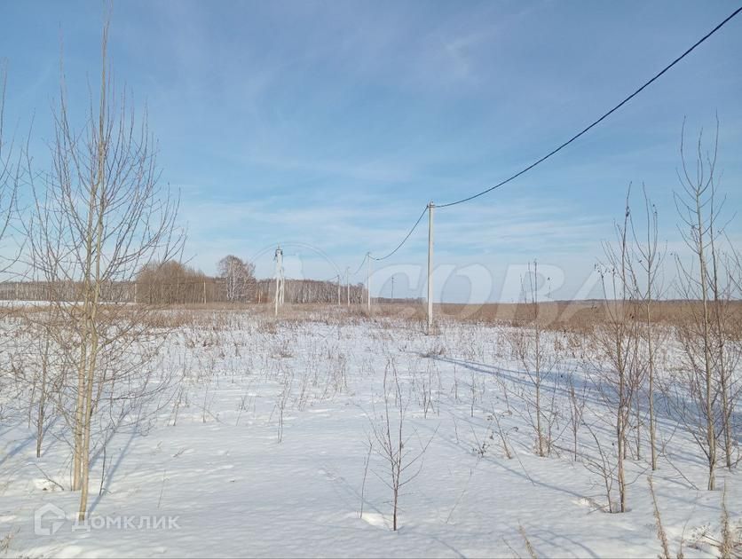 земля р-н Нижнетавдинский село Тюнево фото 3