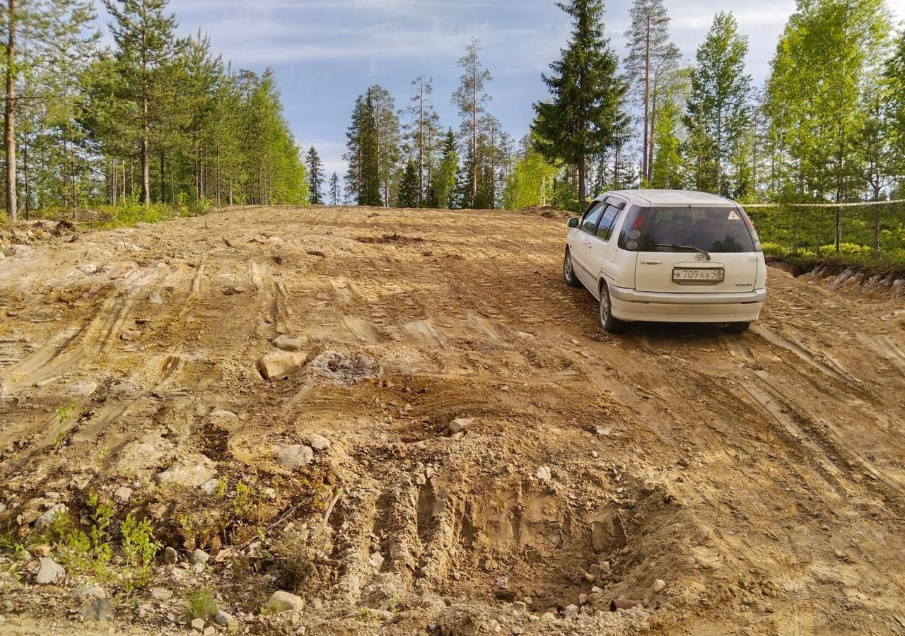 земля г Костомукша снт Инфра-1 Костомукшский г. о. фото 1