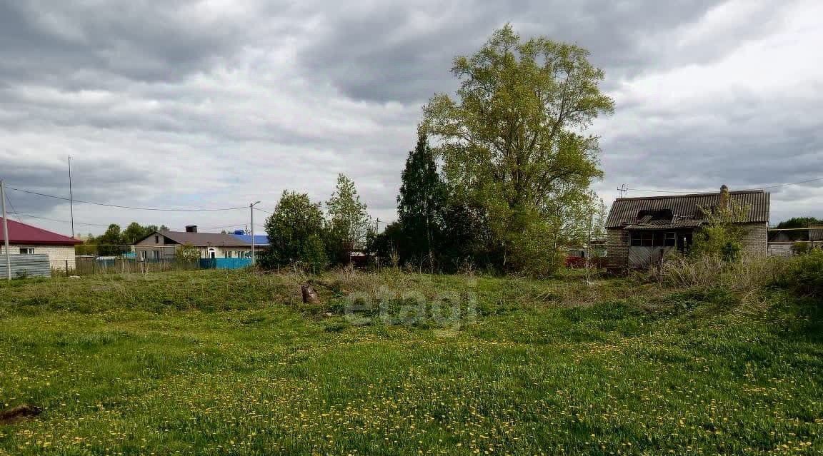 земля р-н Альметьевский с Аппаково ул Новая фото 1