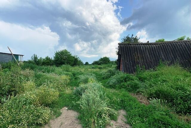 земля Львовское сельское поселение фото