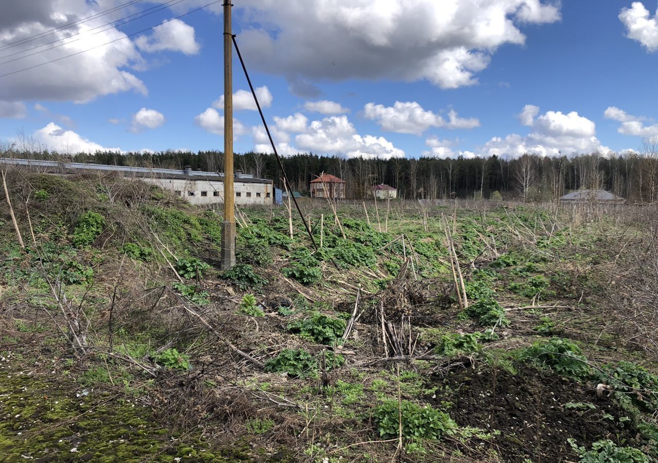 земля городской округ Богородский п Елизаветино ул Центральная 29 Электросталь фото 14