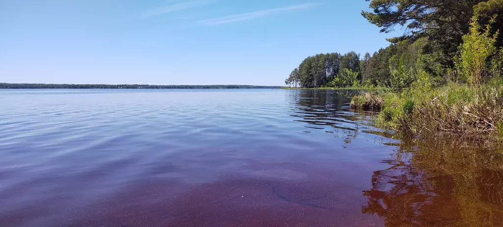 дом р-н Селижаровский нп Турбаза "Чайка" ул Лесная 14 фото 16