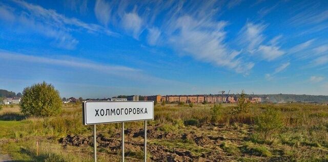 земля п Холмогоровка Зеленоградский муниципальный округ фото