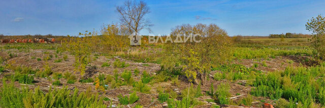 земля с Родионцово Богданихское сельское поселение фото