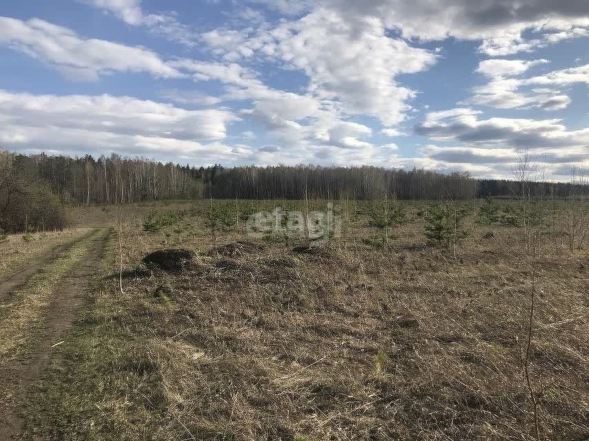 земля р-н Тюменский село Кулига фото 6