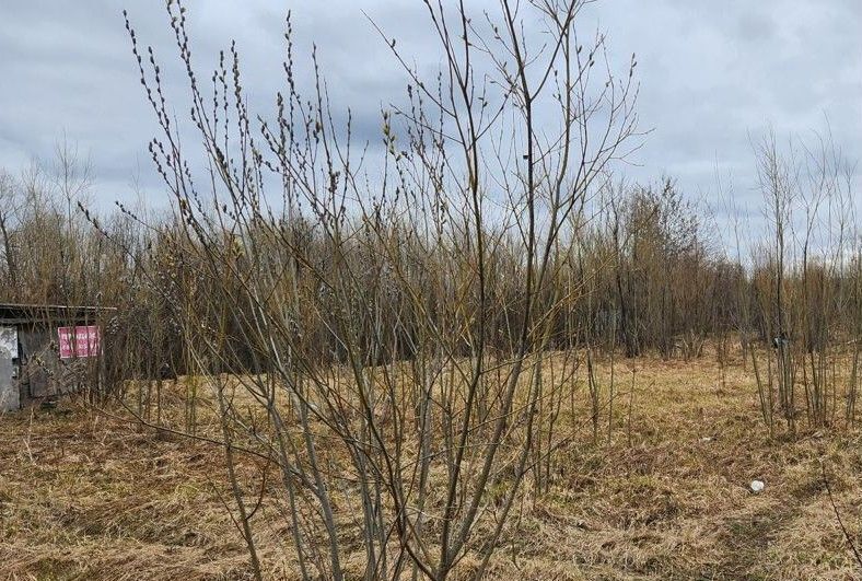 земля г Белоярский снт Луч Тюменская обл., Нижневартовск фото 4