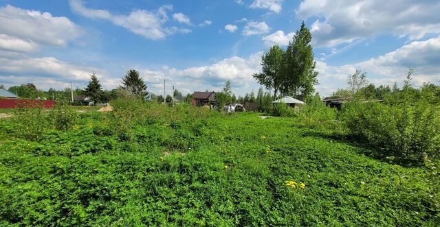 Нурминское сельское поселение, садоводческий массив Полевой, 355 фото