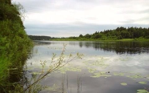 земля р-н Волховский г Сясьстрой Пашское сельское поселение фото 1