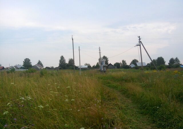 Новодеревенское сельское поселение, Елатьма фото