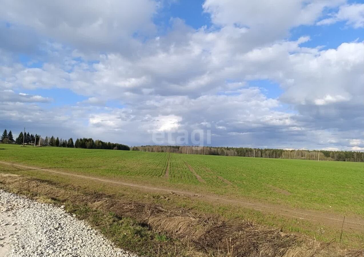 земля р-н Городецкий г Городец д. Кумохино Кумохинский сельсовет фото 23
