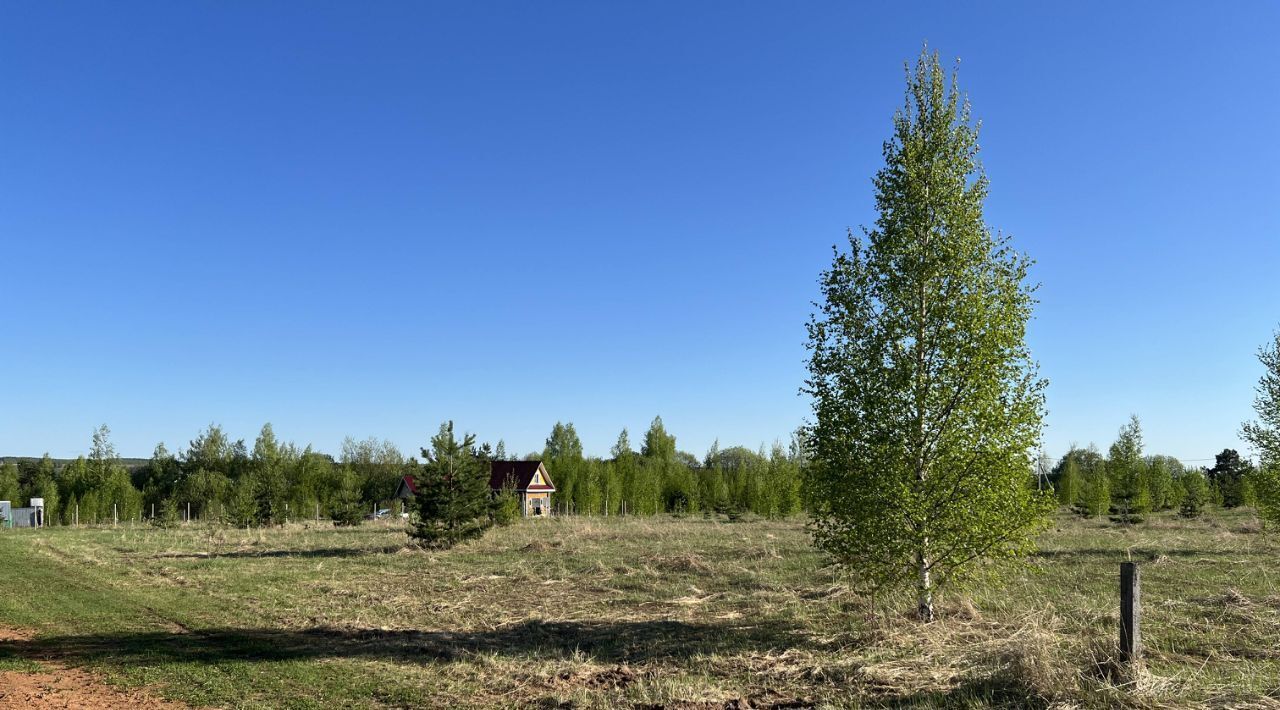 земля р-н Дальнеконстантиновский с Новое Жедрино ул Луговая фото 19