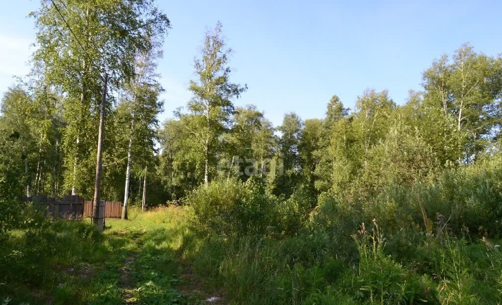 земля г Тюмень р-н Калининский снт Зауралец ул Энергетиков фото 1